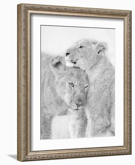 I Love You-Jun Zuo-Framed Photographic Print