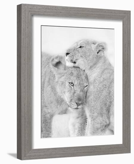 I Love You-Jun Zuo-Framed Photographic Print