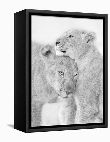 I Love You-Jun Zuo-Framed Premier Image Canvas