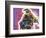 I’m a Pit Bull-Dean Russo-Framed Giclee Print