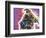 I’m a Pit Bull-Dean Russo-Framed Giclee Print