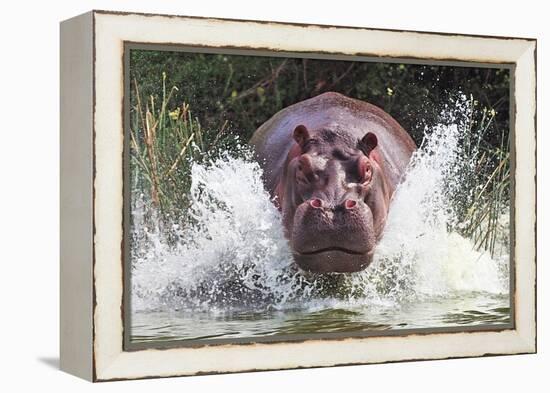 I'm Going to Get You!!-Wayne Pearson-Framed Premier Image Canvas