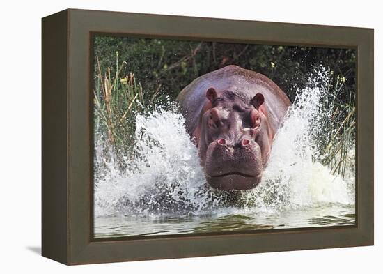 I'm Going to Get You!!-Wayne Pearson-Framed Premier Image Canvas