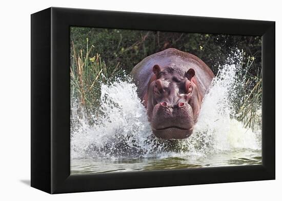 I'm Going to Get You!!-Wayne Pearson-Framed Premier Image Canvas