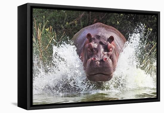 I'm Going to Get You!!-Wayne Pearson-Framed Premier Image Canvas