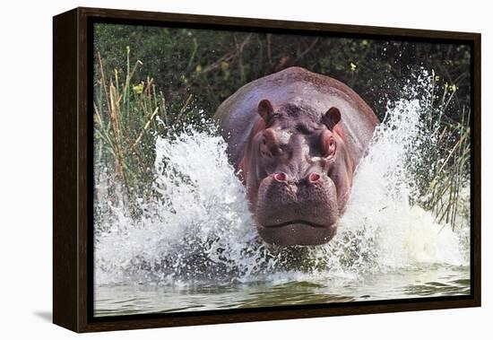 I'm Going to Get You!!-Wayne Pearson-Framed Premier Image Canvas