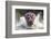 I'm Going to Get You!!-Wayne Pearson-Framed Photographic Print