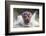 I'm Going to Get You!!-Wayne Pearson-Framed Photographic Print