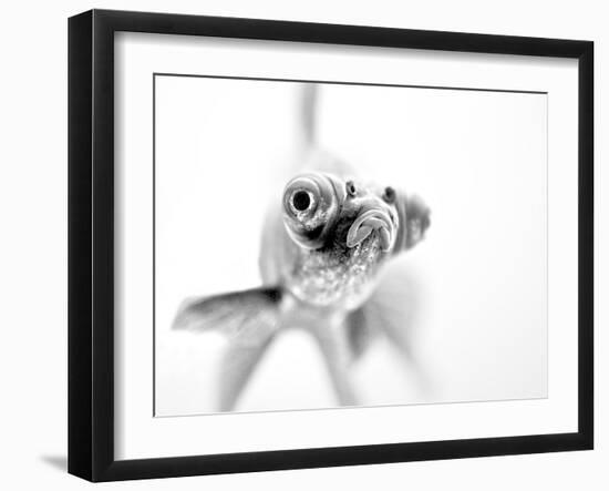 I'm Ready For My Close Up-null-Framed Photographic Print