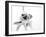 I'm Ready For My Close Up-null-Framed Photographic Print