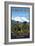 I Made It! Mt. Evans, Colorado Elv. 14,270-Lantern Press-Framed Art Print