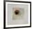 I Papaveri-Annapia Antonini-Framed Limited Edition