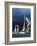 I Punkt-Frank Beken-Framed Art Print