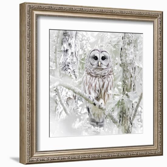 I See You-Wink Gaines-Framed Giclee Print