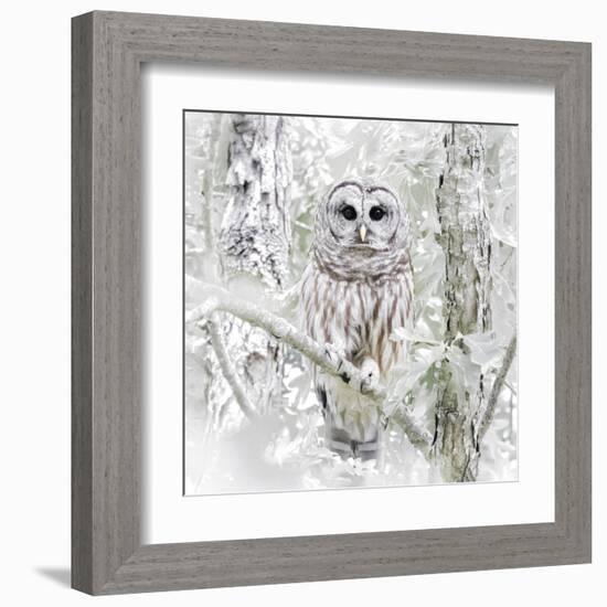 I See You-Wink Gaines-Framed Giclee Print