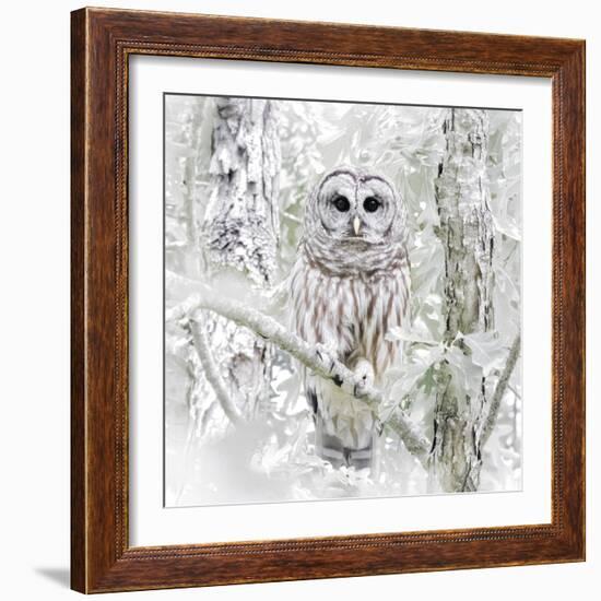 I See You-Wink Gaines-Framed Giclee Print