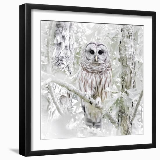 I See You-Wink Gaines-Framed Giclee Print