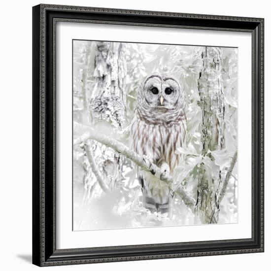 I See You-Wink Gaines-Framed Giclee Print