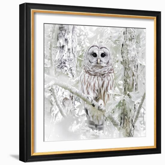 I See You-Wink Gaines-Framed Giclee Print