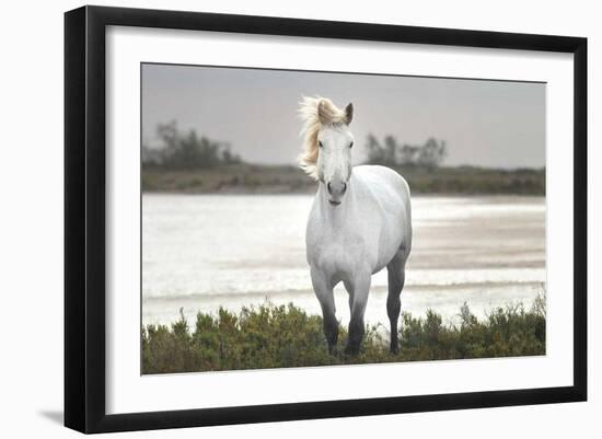 I Stand For You-Jorge Llovet-Framed Giclee Print