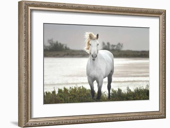 I Stand For You-Jorge Llovet-Framed Giclee Print