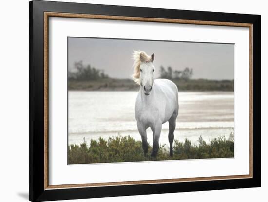 I Stand For You-Jorge Llovet-Framed Giclee Print