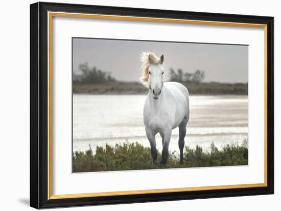 I Stand For You-Jorge Llovet-Framed Giclee Print