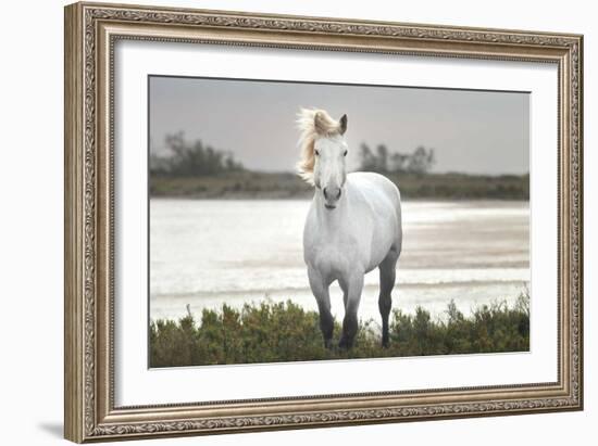 I Stand For You-Jorge Llovet-Framed Art Print