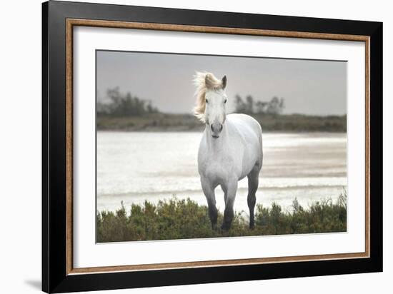 I Stand For You-Jorge Llovet-Framed Art Print