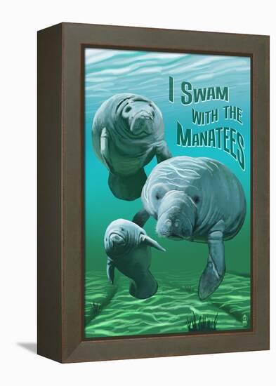 I Swam with Manatees-Lantern Press-Framed Stretched Canvas