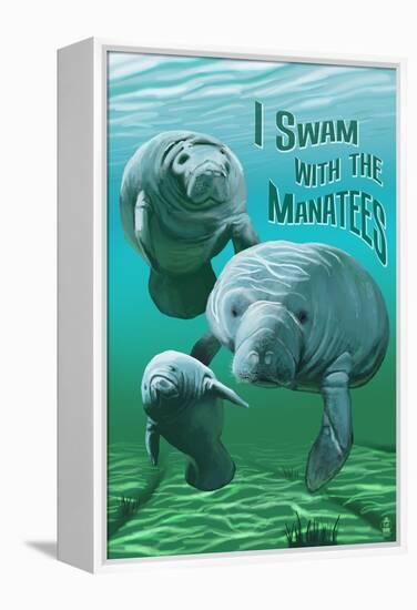 I Swam with Manatees-Lantern Press-Framed Stretched Canvas