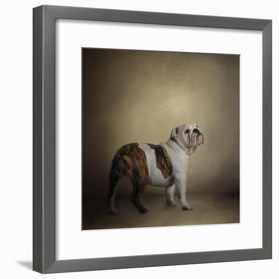 I Think I Smell a Treat Bulldog-Jai Johnson-Framed Giclee Print