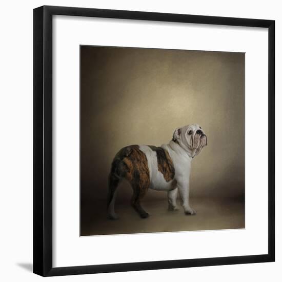 I Think I Smell a Treat Bulldog-Jai Johnson-Framed Giclee Print