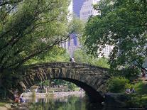 The Pond, Central Park, New York, USA-I Vanderharst-Photographic Print