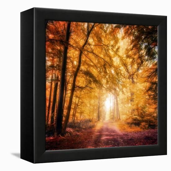 I've Got Faith in You-Philippe Sainte-Laudy-Framed Premier Image Canvas