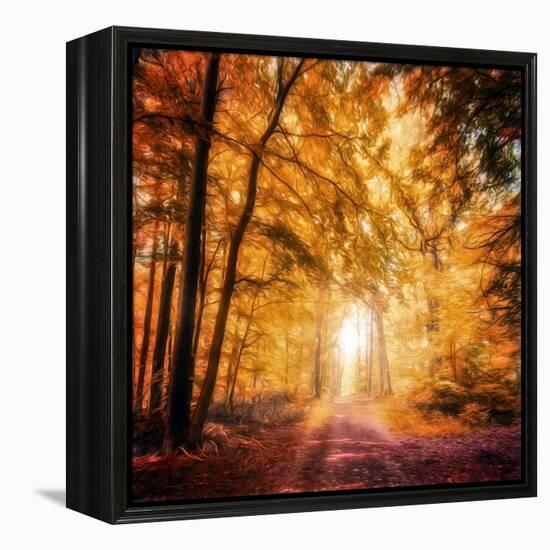 I've Got Faith in You-Philippe Sainte-Laudy-Framed Premier Image Canvas