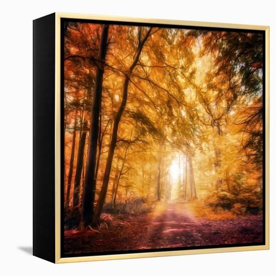 I've Got Faith in You-Philippe Sainte-Laudy-Framed Premier Image Canvas