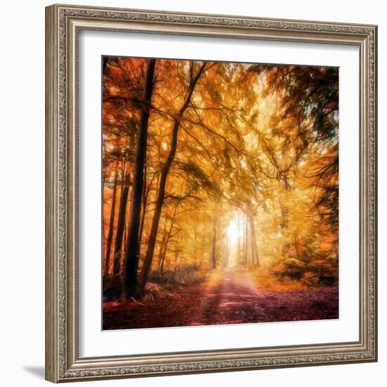 I've Got Faith in You-Philippe Sainte-Laudy-Framed Photographic Print