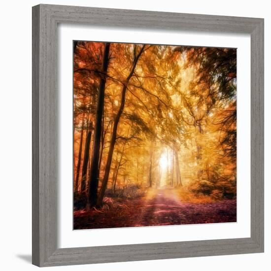 I've Got Faith in You-Philippe Sainte-Laudy-Framed Photographic Print