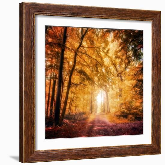 I've Got Faith in You-Philippe Sainte-Laudy-Framed Photographic Print