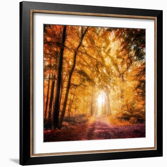 I've Got Faith in You-Philippe Sainte-Laudy-Framed Photographic Print