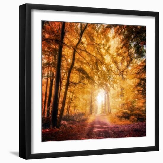 I've Got Faith in You-Philippe Sainte-Laudy-Framed Photographic Print