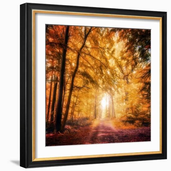 I've Got Faith in You-Philippe Sainte-Laudy-Framed Photographic Print