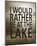 I Would Rather Be At The Lake-Sparx Studio-Mounted Art Print