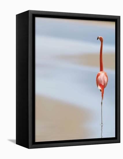 I-Anna Cseresnjes-Framed Premier Image Canvas