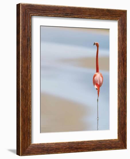 I-Anna Cseresnjes-Framed Photographic Print