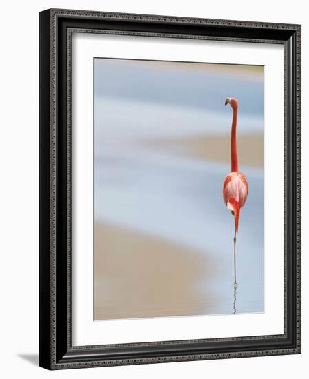 I-Anna Cseresnjes-Framed Photographic Print