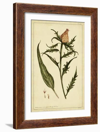 Iacea, Pl. CLIII-Phillip Miller-Framed Art Print