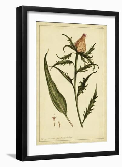 Iacea, Pl. CLIII-Phillip Miller-Framed Art Print