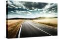 Stretched Canvas Print